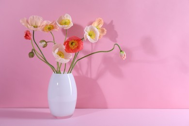 Photo of Beautiful poppy flowers in vase on pink background, closeup. Space for text