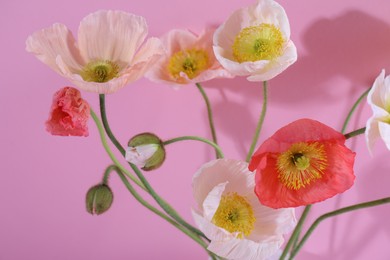 Photo of Beautiful poppy flowers on pink background, closeup