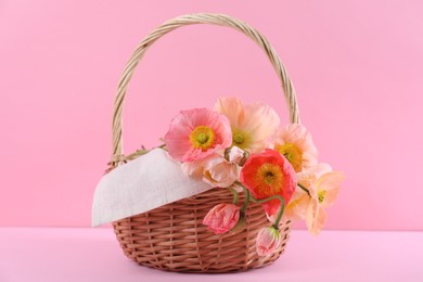 Photo of Beautiful poppy flowers in wicker basket on pink background, closeup