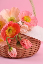 Photo of Beautiful poppy flowers in wicker basket on pink background, closeup