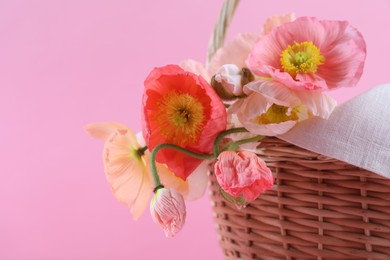 Photo of Beautiful poppy flowers in wicker basket on pink background, closeup