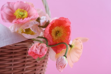 Photo of Beautiful poppy flowers in wicker basket on pink background, closeup