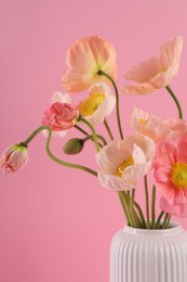 Photo of Beautiful poppy flowers in vase on pink background, closeup