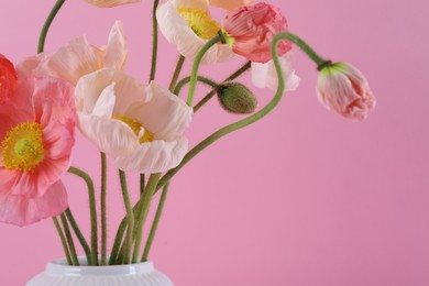 Photo of Beautiful poppy flowers in vase on pink background, closeup