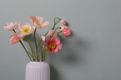 Photo of Beautiful poppy flowers in vase on grey background, closeup. Space for text