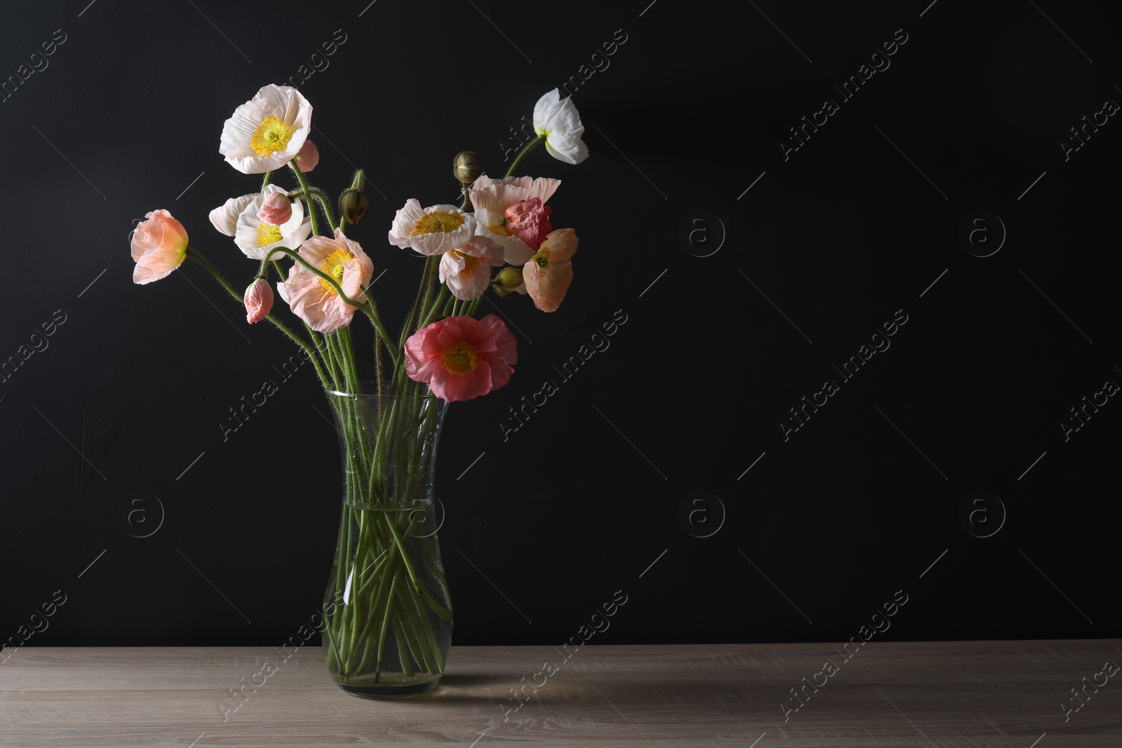 Beautiful poppy flowers in vase on wooden table against black background, closeup. Space for text Photo of Beautiful poppy flowers in vase on wooden table against black background, closeup. Space for text