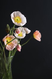 Photo of Beautiful poppy flowers in vase on black background, closeup