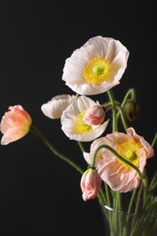 Photo of Beautiful poppy flowers in vase on black background, closeup