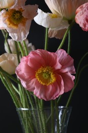 Photo of Beautiful poppy flowers in vase on black background, closeup