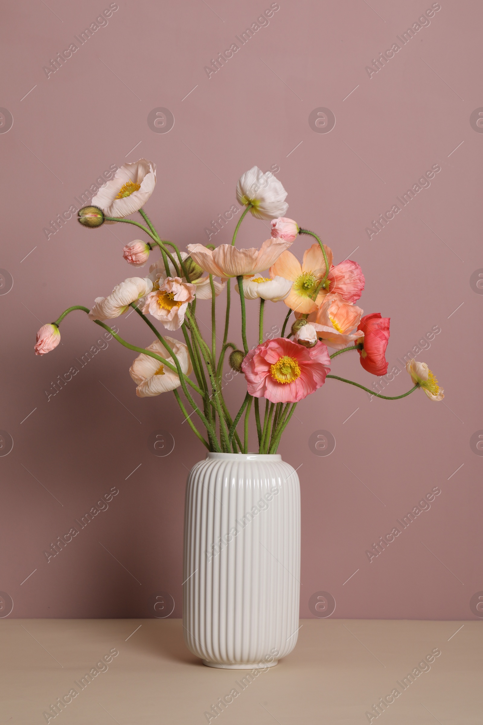 Beautiful poppy flowers in vase on beige table against pink background Photo of Beautiful poppy flowers in vase on beige table against pink background