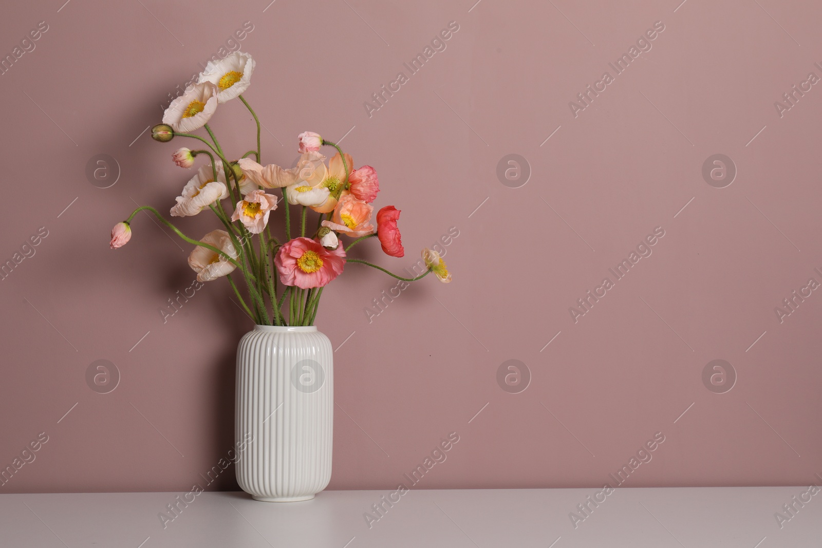 Beautiful poppy flowers in vase on white table against pink background. Space for text Photo of Beautiful poppy flowers in vase on white table against pink background. Space for text
