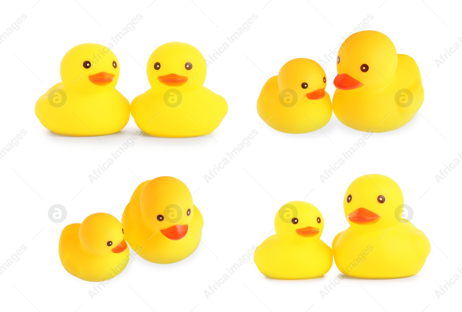 Cute rubber ducks on white background, collage Image of Cute rubber ducks on white background, collage