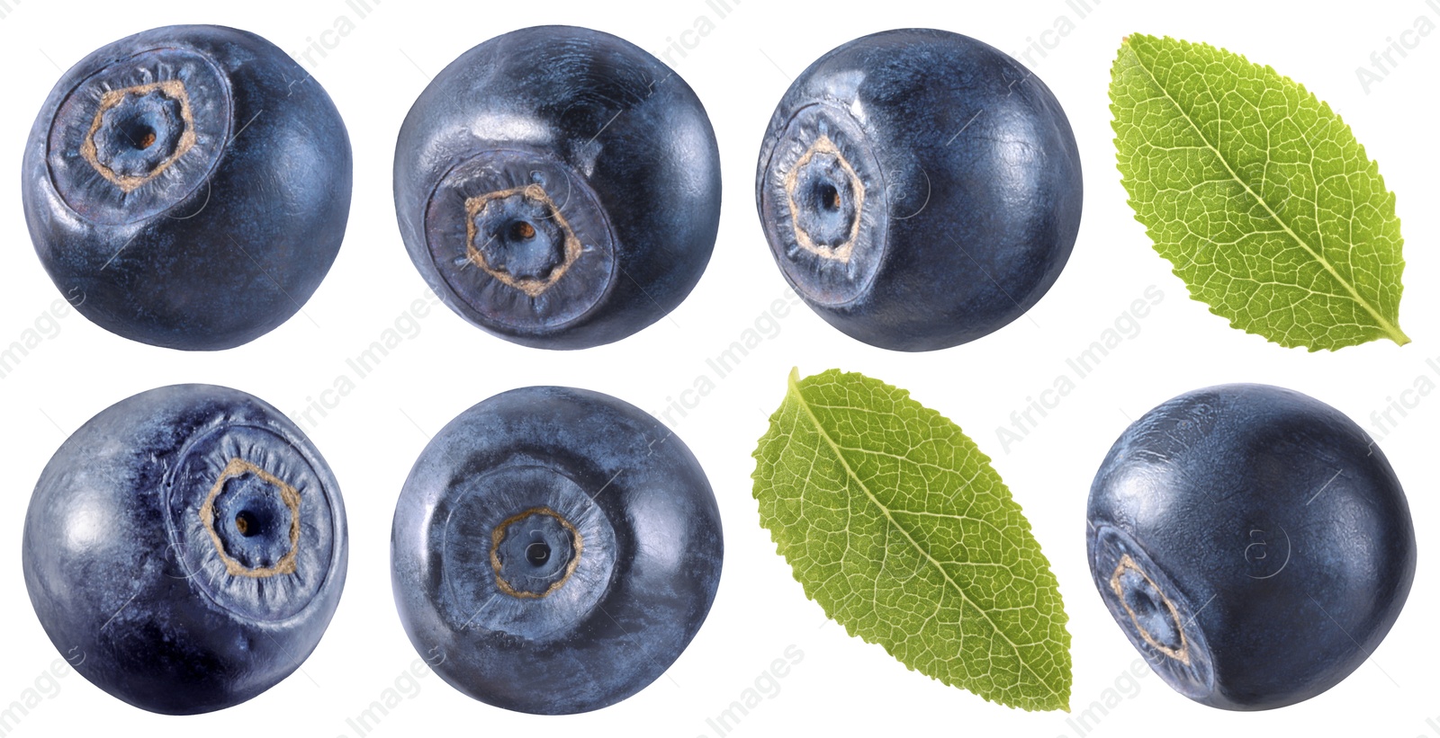 Image of Fresh bilberries and green leaves isolated on white, set