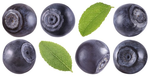 Image of Fresh bilberries and green leaves isolated on white, set