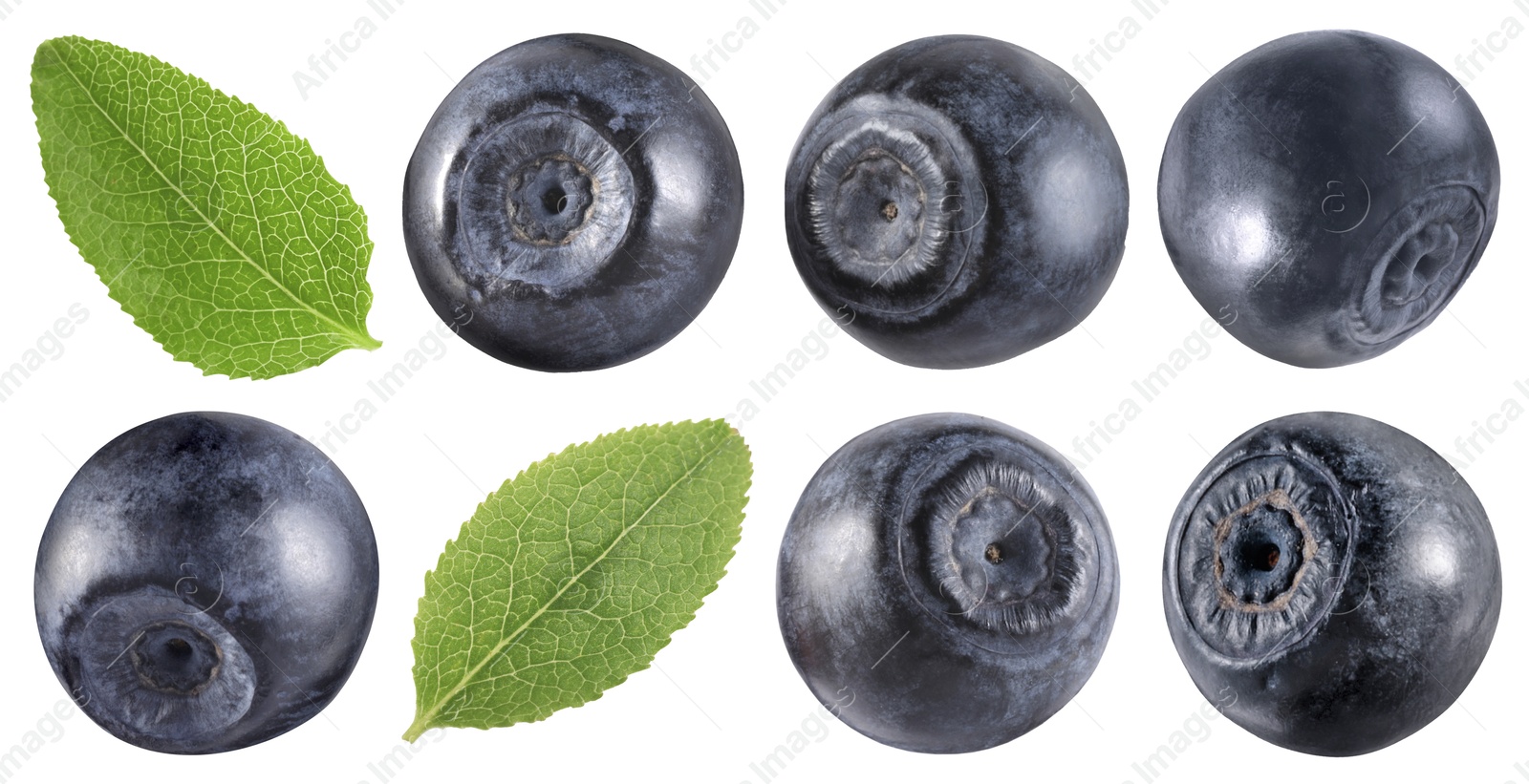 Image of Fresh bilberries and green leaves isolated on white, set