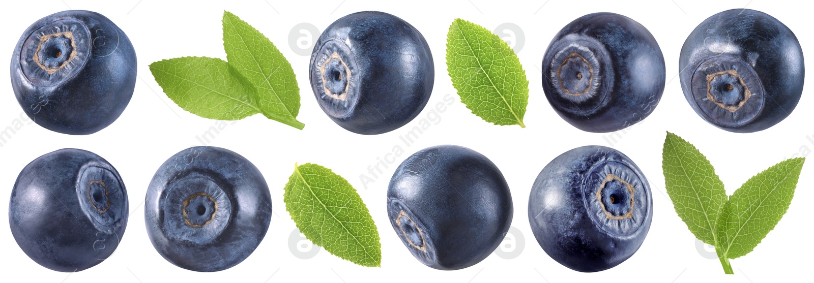 Image of Fresh bilberries and green leaves isolated on white, set