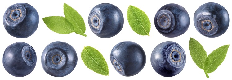 Image of Fresh bilberries and green leaves isolated on white, set