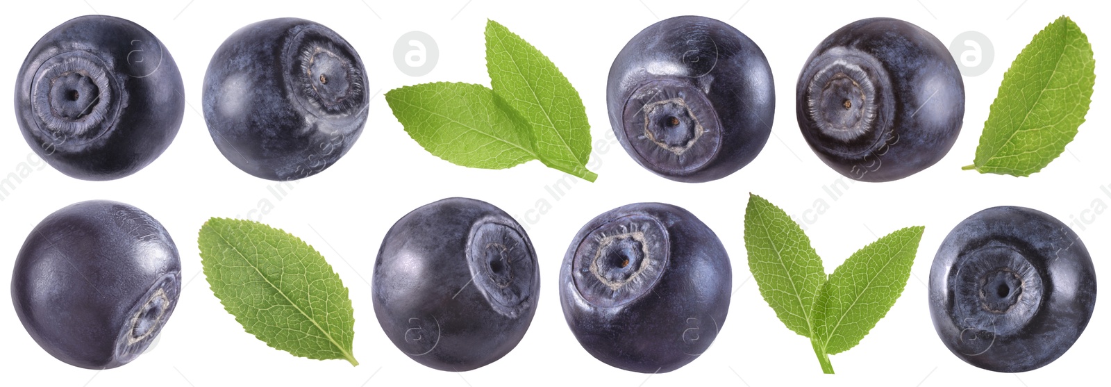Image of Fresh bilberries and green leaves isolated on white, set
