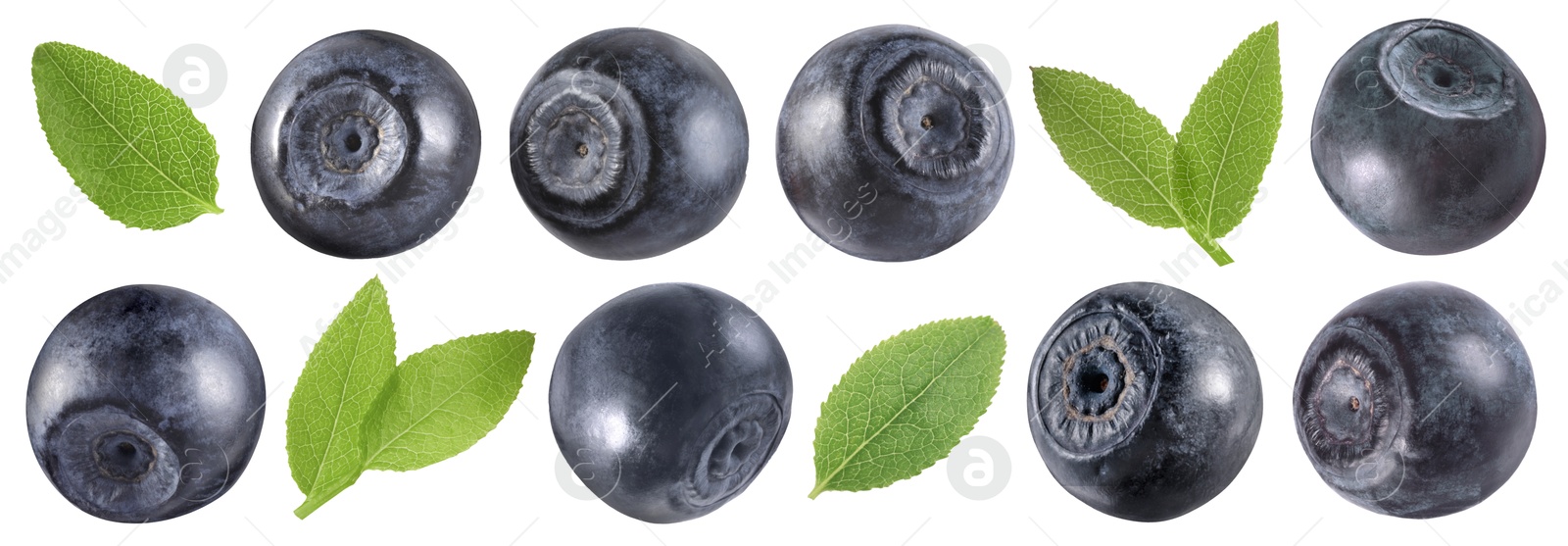 Fresh bilberries and green leaves isolated on white, set Image of Fresh bilberries and green leaves isolated on white, set