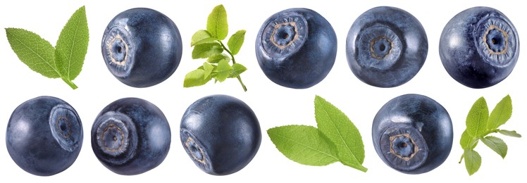Image of Fresh bilberries and green leaves isolated on white, set