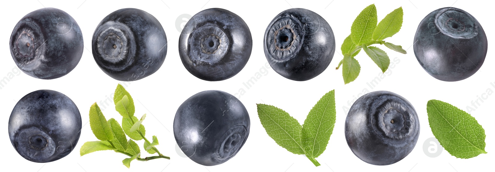 Image of Fresh bilberries and green leaves isolated on white, set