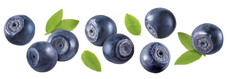 Image of Fresh bilberries and green leaves isolated on white, set