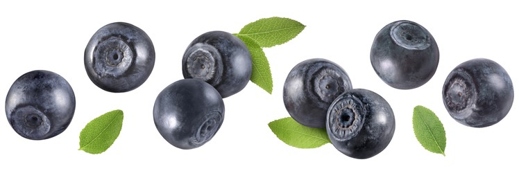 Image of Fresh bilberries and green leaves isolated on white, set