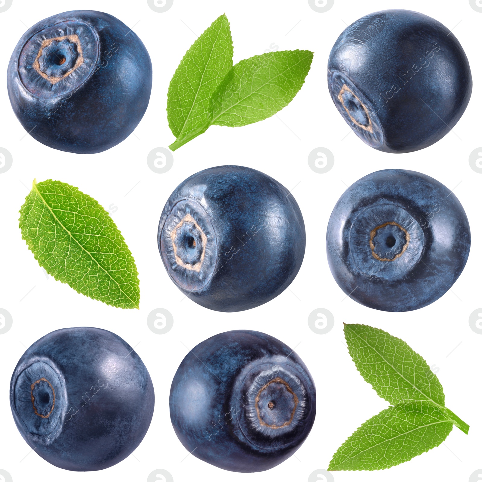 Fresh bilberries and green leaves isolated on white, set Image of Fresh bilberries and green leaves isolated on white, set