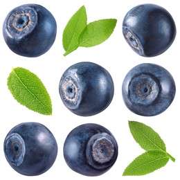 Image of Fresh bilberries and green leaves isolated on white, set