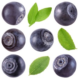 Image of Fresh bilberries and green leaves isolated on white, set