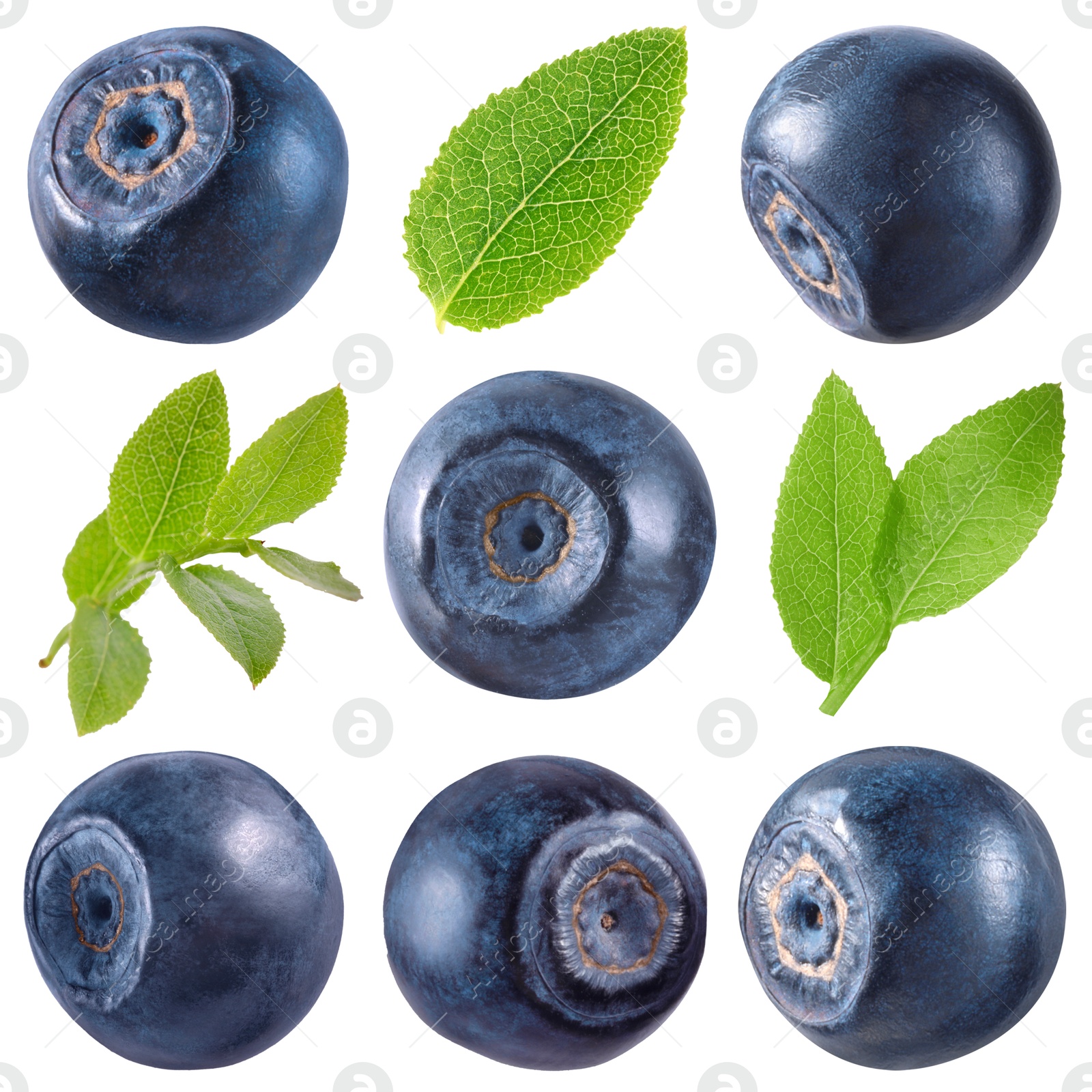 Fresh bilberries and green leaves isolated on white, set Image of Fresh bilberries and green leaves isolated on white, set