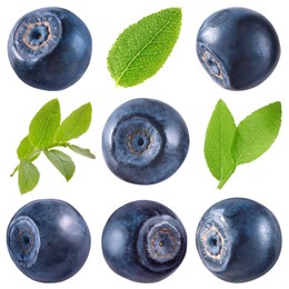 Image of Fresh bilberries and green leaves isolated on white, set