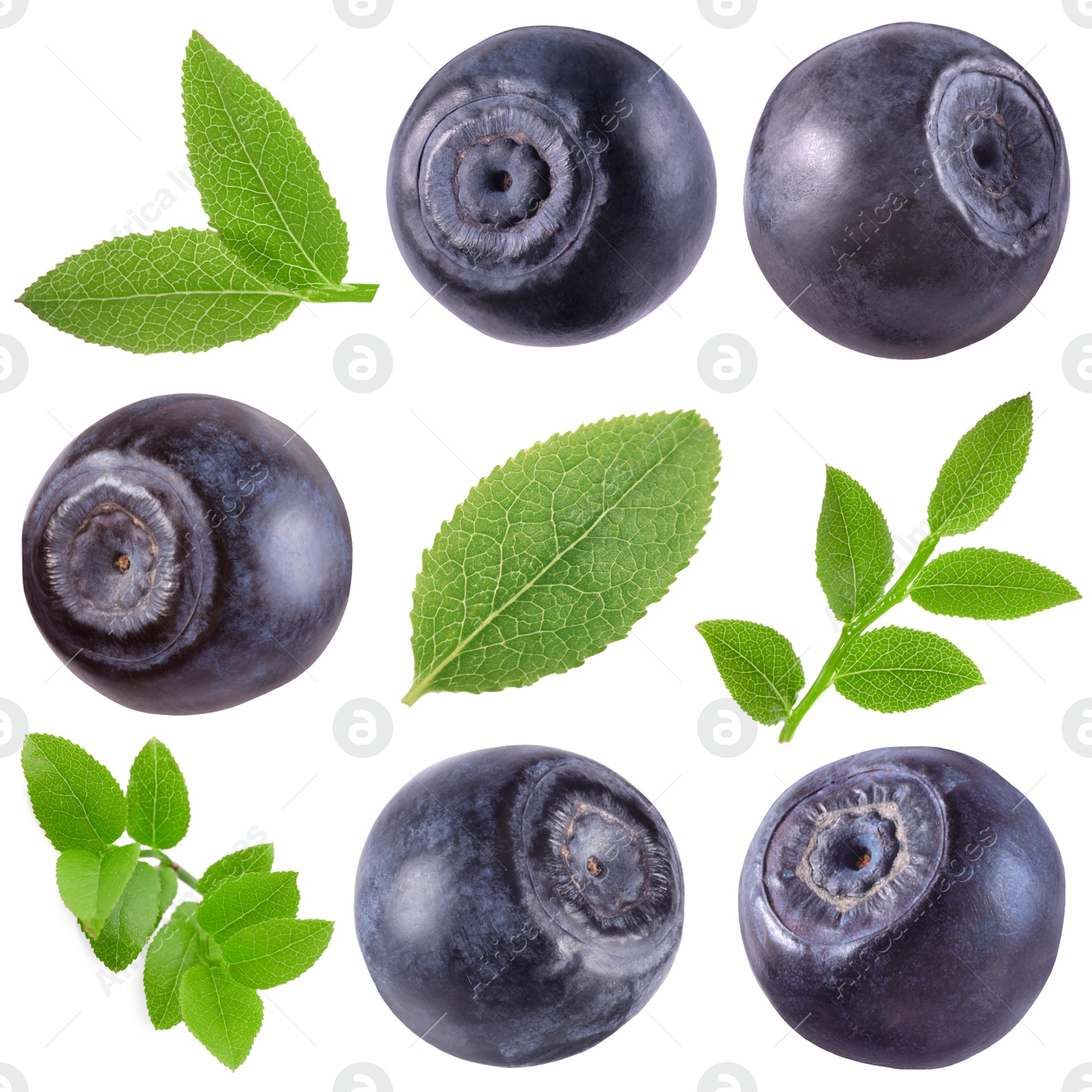 Image of Fresh bilberries and green leaves isolated on white, set