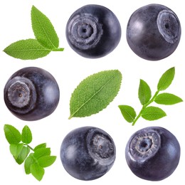 Image of Fresh bilberries and green leaves isolated on white, set