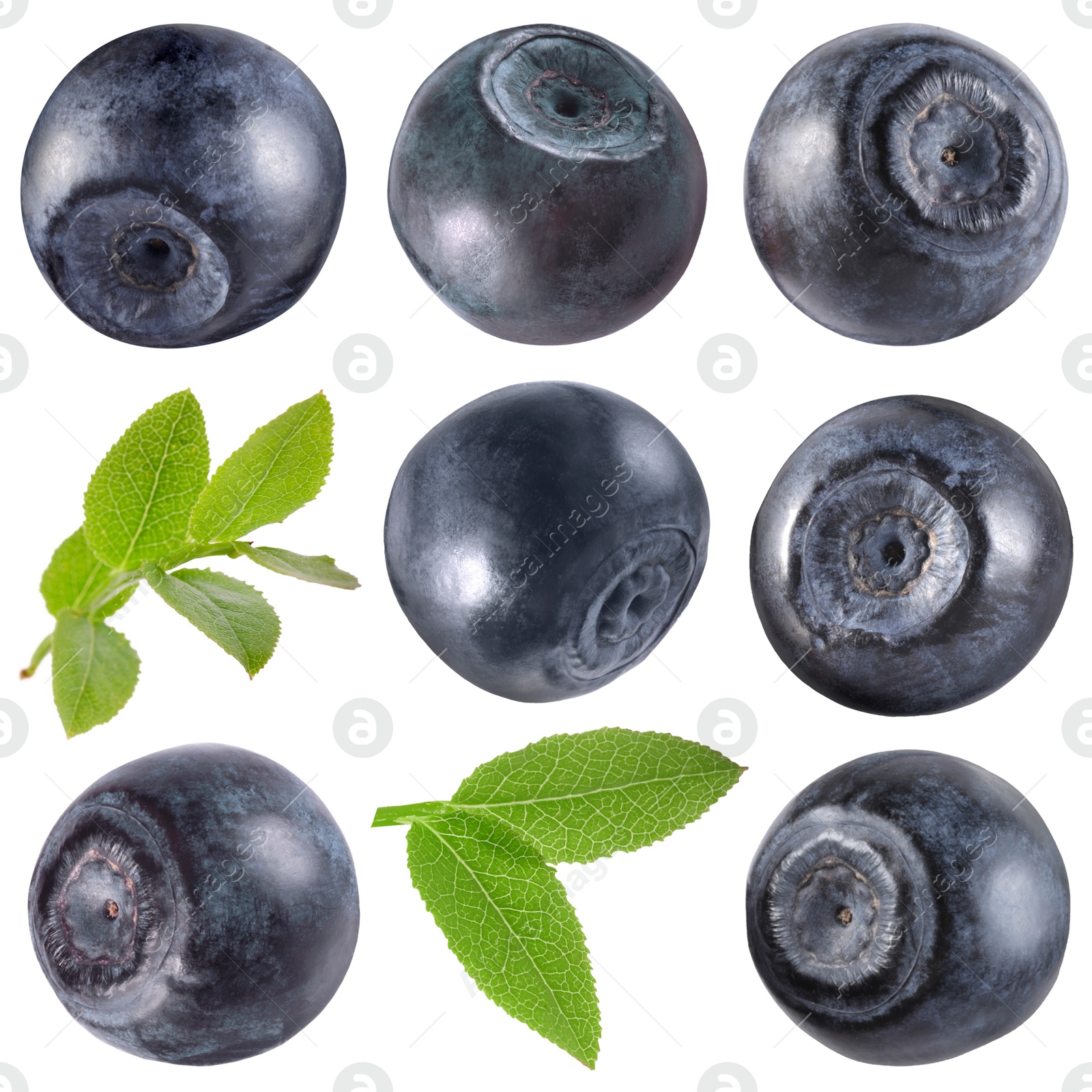 Fresh bilberries and green leaves isolated on white, set Image of Fresh bilberries and green leaves isolated on white, set