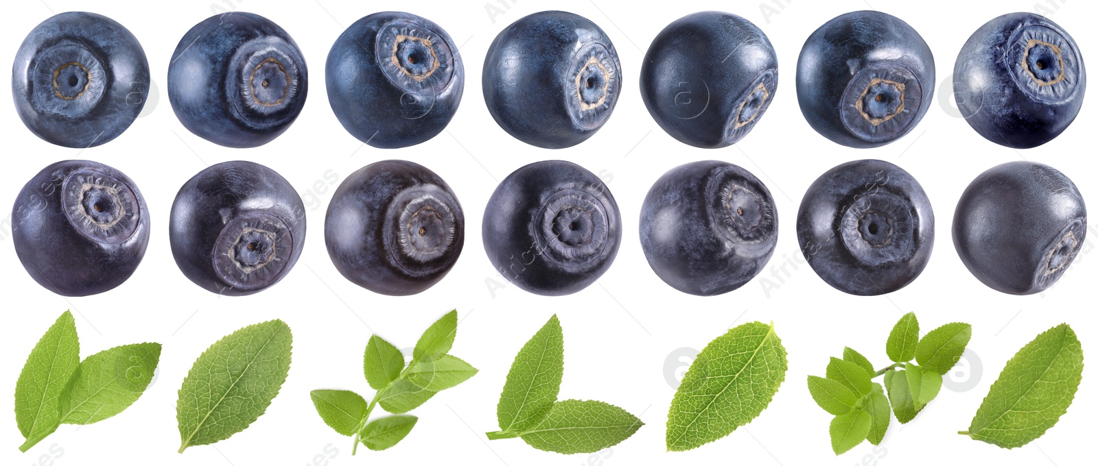 Image of Fresh bilberries and green leaves isolated on white, set