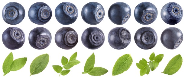 Image of Fresh bilberries and green leaves isolated on white, set