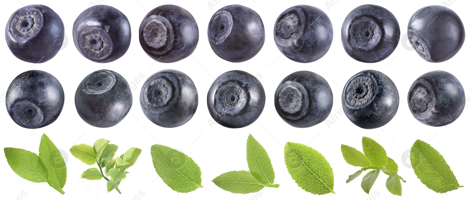 Image of Fresh bilberries and green leaves isolated on white, set