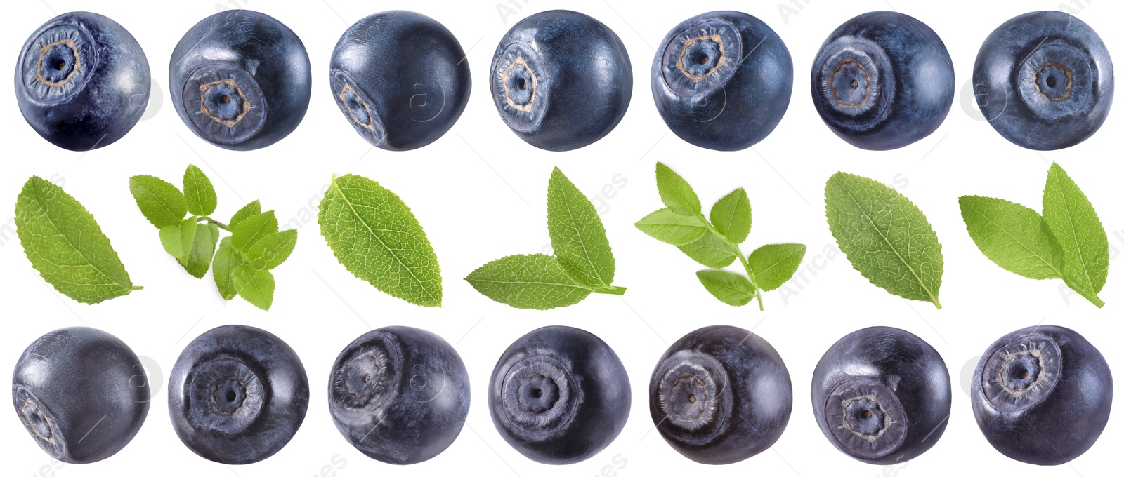 Image of Fresh bilberries and green leaves isolated on white, set