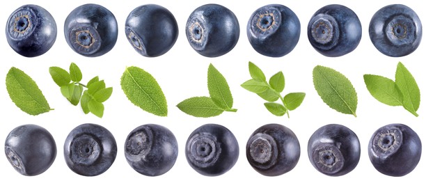 Image of Fresh bilberries and green leaves isolated on white, set