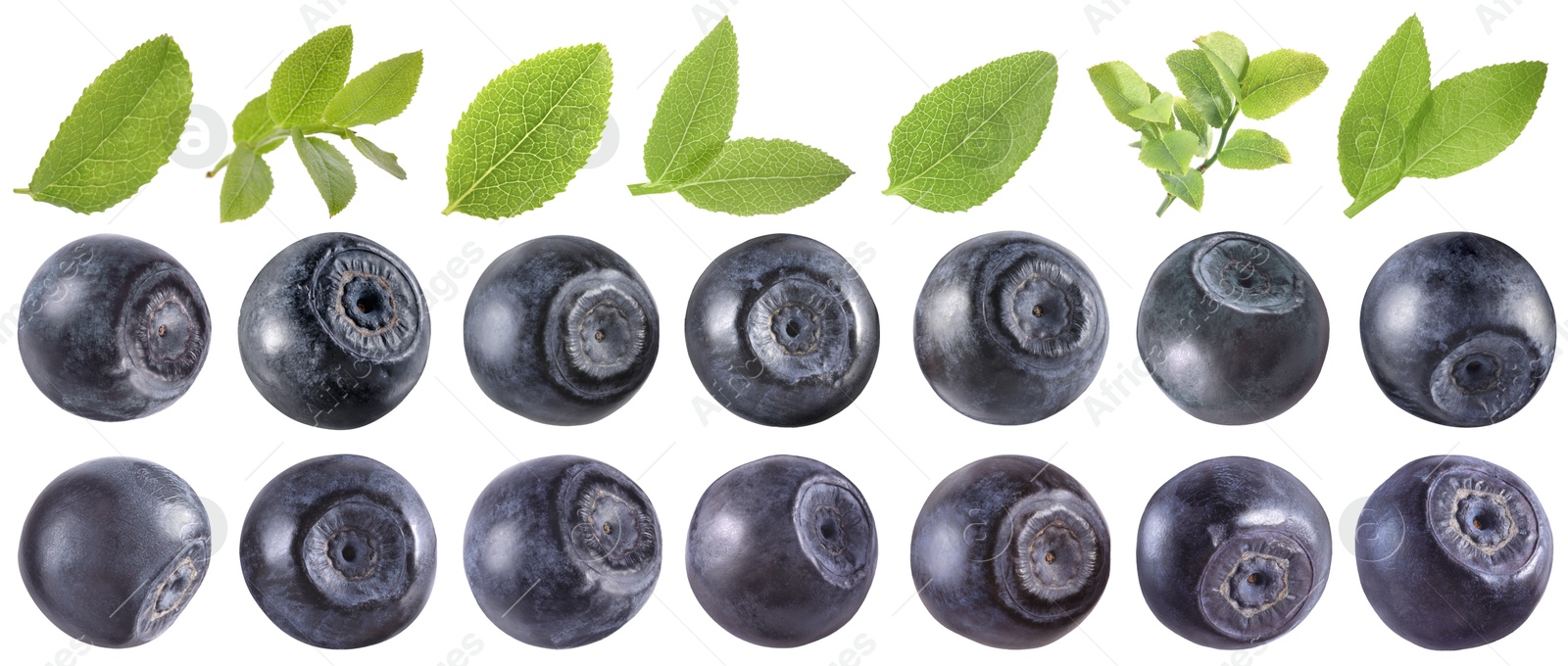 Fresh bilberries and green leaves isolated on white, set Image of Fresh bilberries and green leaves isolated on white, set