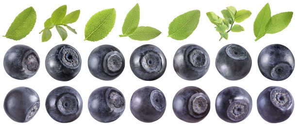 Image of Fresh bilberries and green leaves isolated on white, set