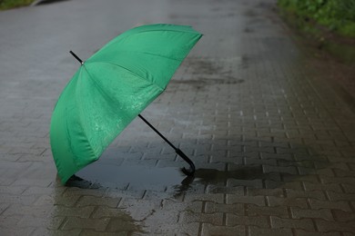 Photo of Green umbrella on wet asphalt outdoors, space for text