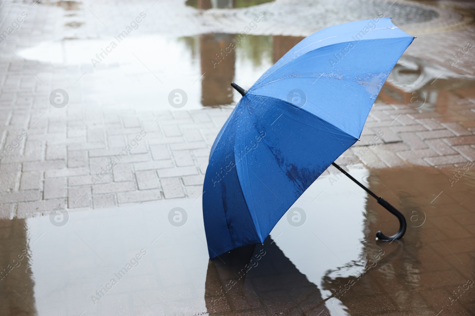 Blue umbrella on wet asphalt outdoors, space for text Photo of Blue umbrella on wet asphalt outdoors, space for text