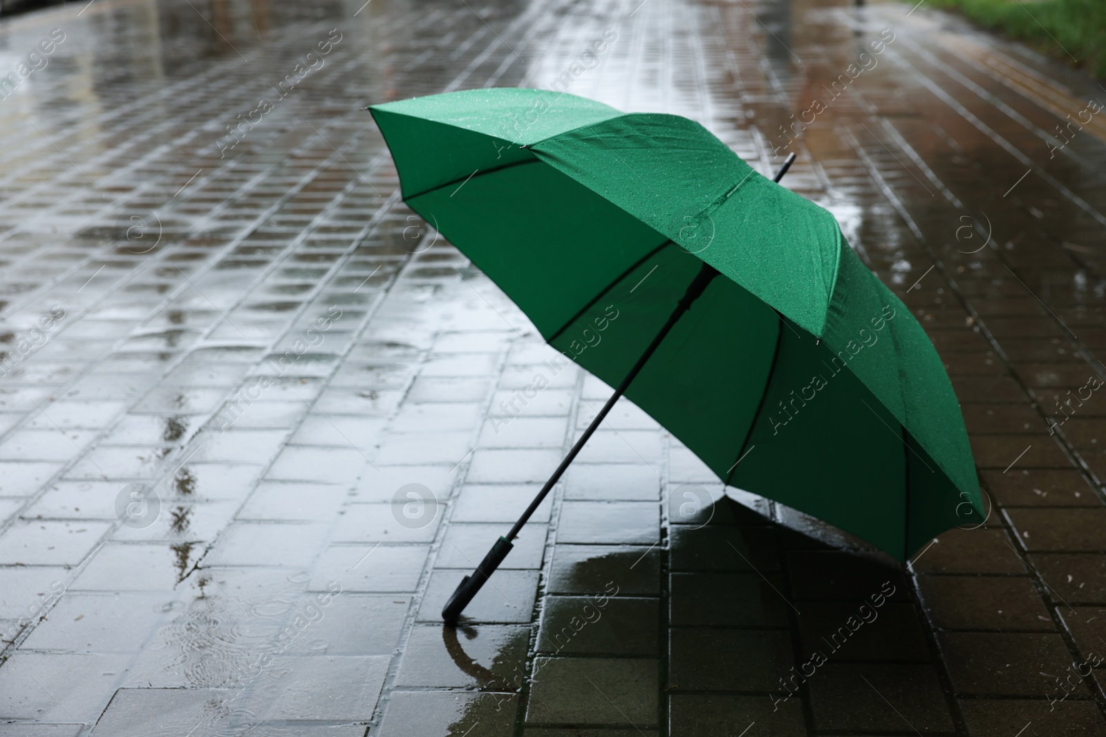 Green umbrella on wet asphalt outdoors, space for text Photo of Green umbrella on wet asphalt outdoors, space for text
