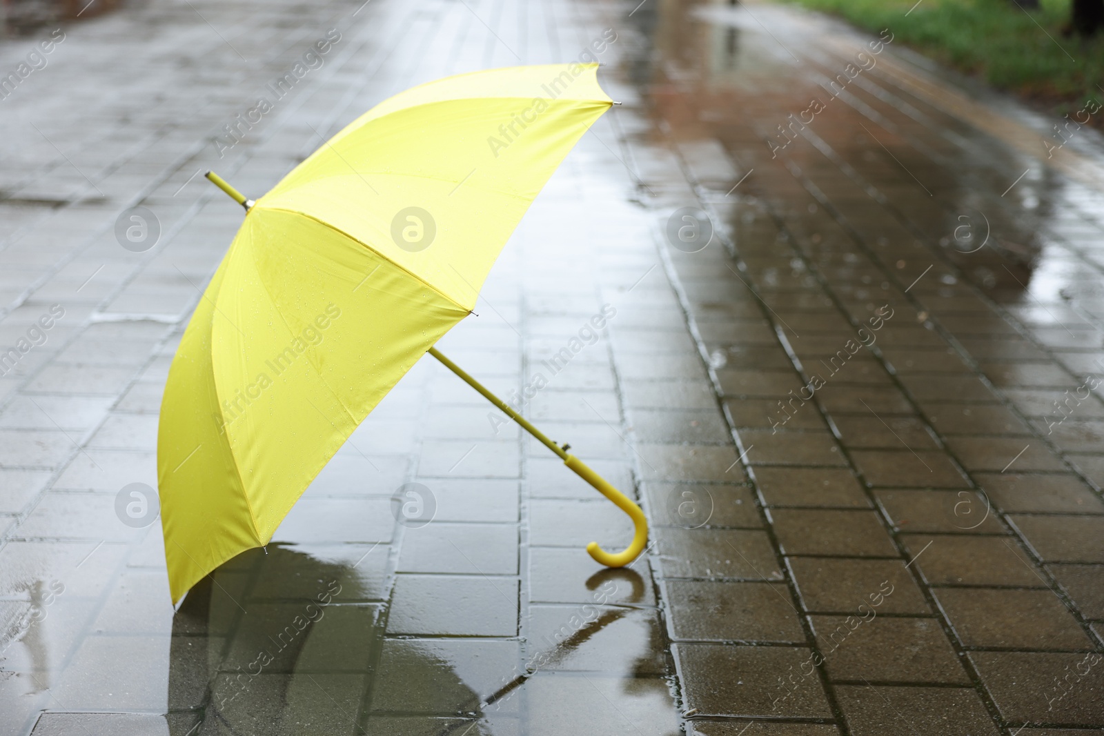 Yellow umbrella on wet asphalt outdoors, space for text Photo of Yellow umbrella on wet asphalt outdoors, space for text