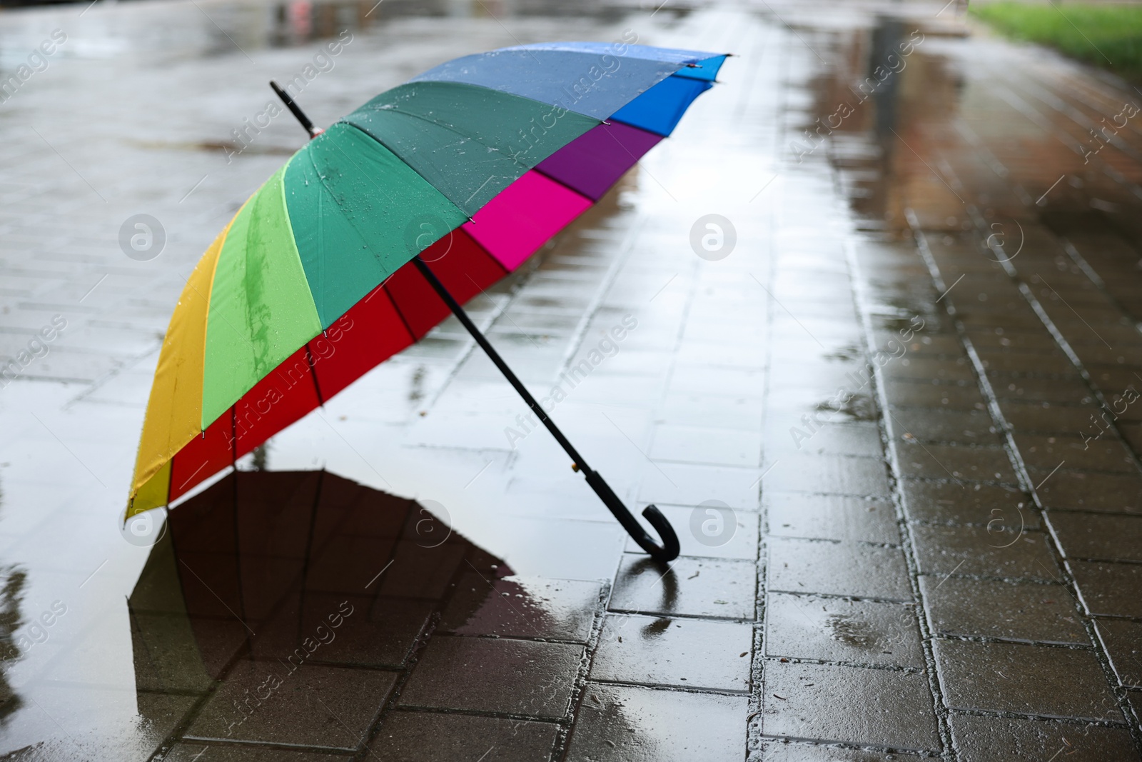 Colorful umbrella on wet asphalt outdoors, space for text Photo of Colorful umbrella on wet asphalt outdoors, space for text