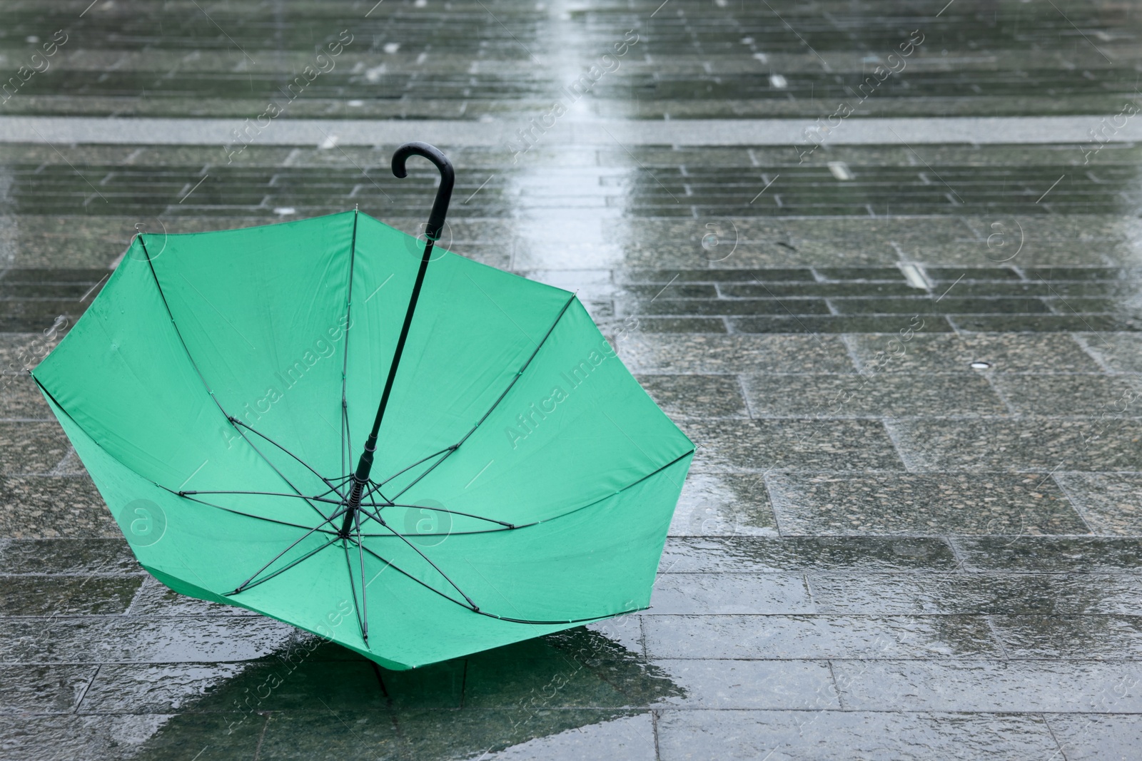 Green umbrella on wet asphalt outdoors, space for text Photo of Green umbrella on wet asphalt outdoors, space for text