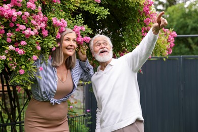 Photo of Lovely senior couple near bush of pink roses outdoors
