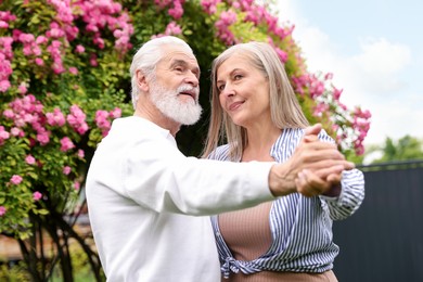 Photo of Lovely senior couple dancing near bush of pink roses outdoors